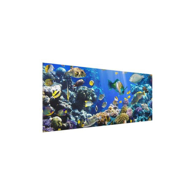 quadro decorativo mar Underwater Reef