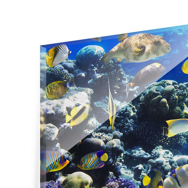 quadro em tons de azul Underwater Reef