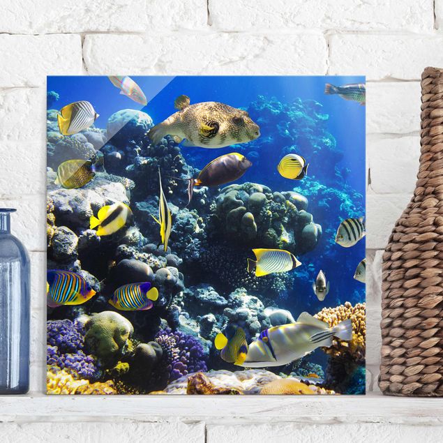 decoraçao para parede de cozinha Underwater Reef