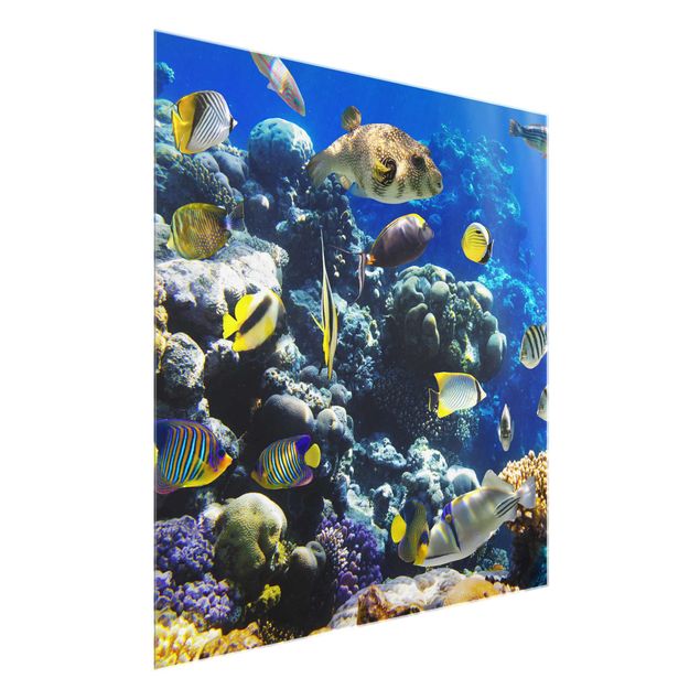 quadro decorativo mar Underwater Reef