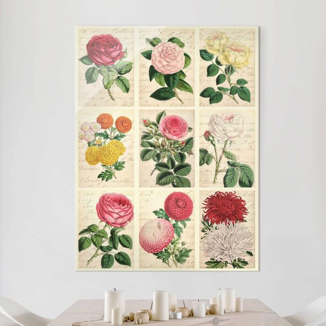 Quadros em vidro de rosas Vintage Floral Collage