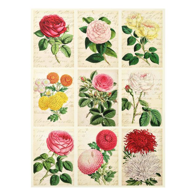 quadro com flores Vintage Floral Collage