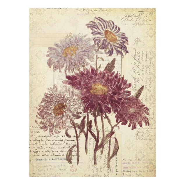 decoração quadros Vintage Flowers With Handwriting