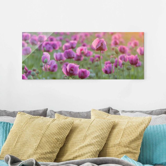 Quadros papoilas Purple Poppy Flower Meadow In Spring