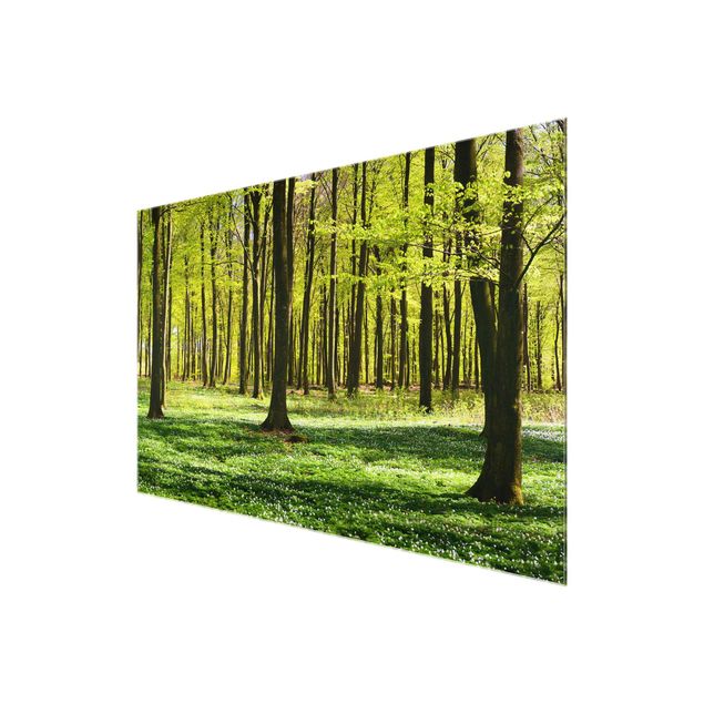 quadros modernos para quarto de casal Forest Meadow