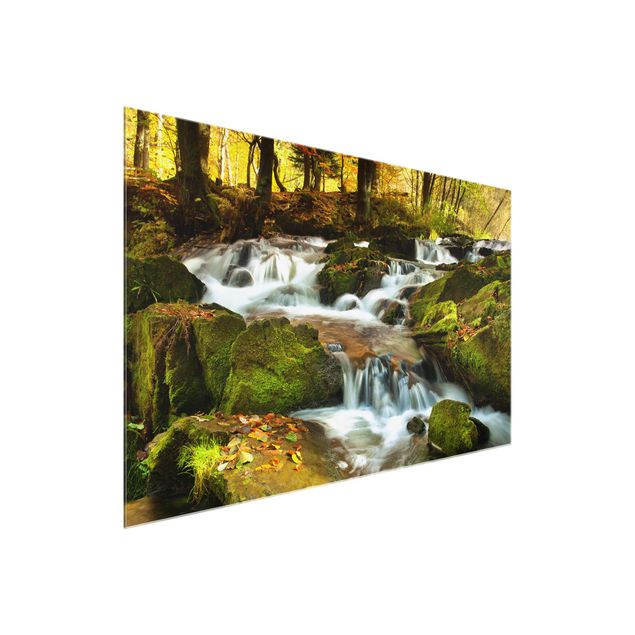 quadros de paisagens Waterfall Autumnal Forest