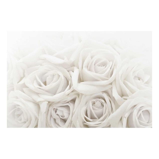 quadros flores Wedding Roses