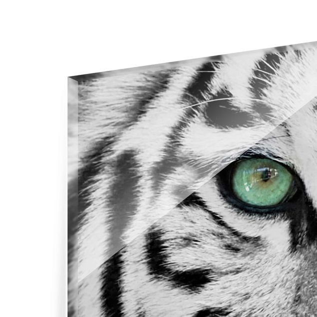 quadro de vidro White Tiger