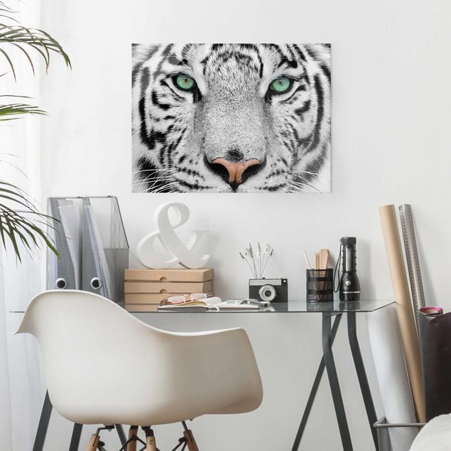 Quadros em vidro em preto e branco White Tiger