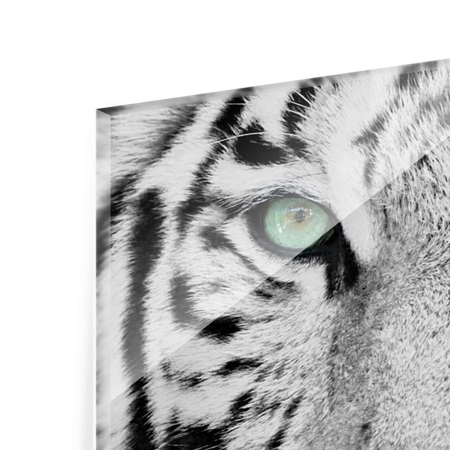 quadro de vidro White Tiger