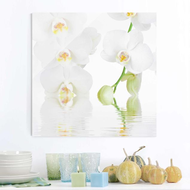 Quadros em vidro de orquídeas Spa Orchid - White Orchid