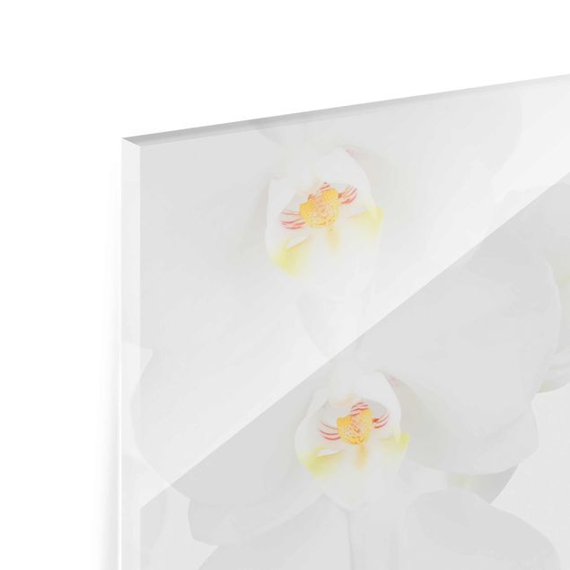 quadro de vidro Spa Orchid - White Orchid