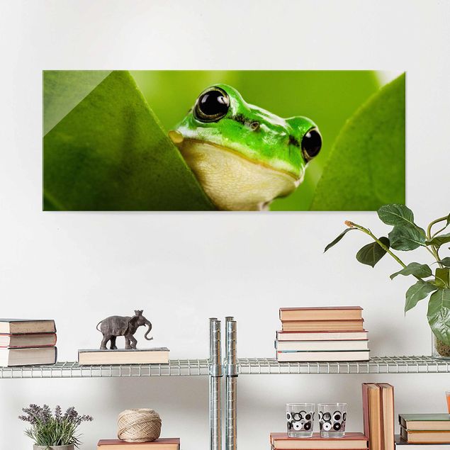 decoraçoes cozinha Frog