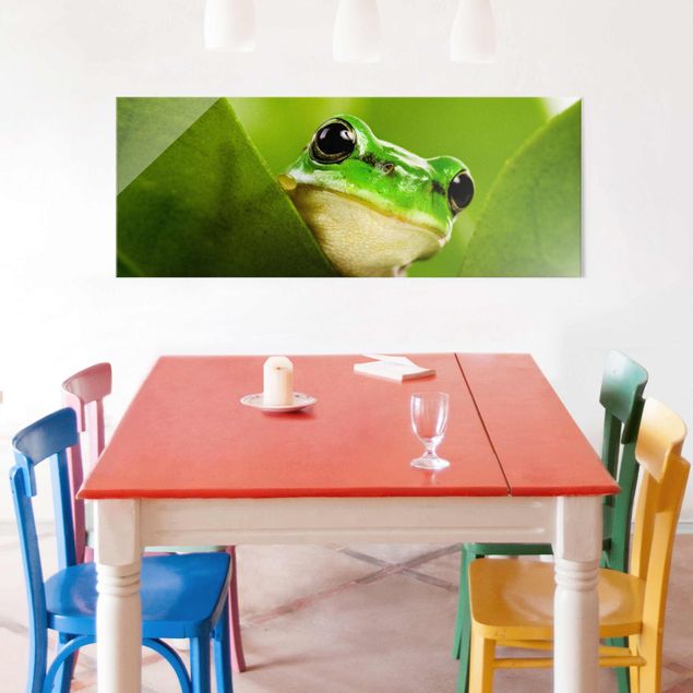 Quadros modernos Frog