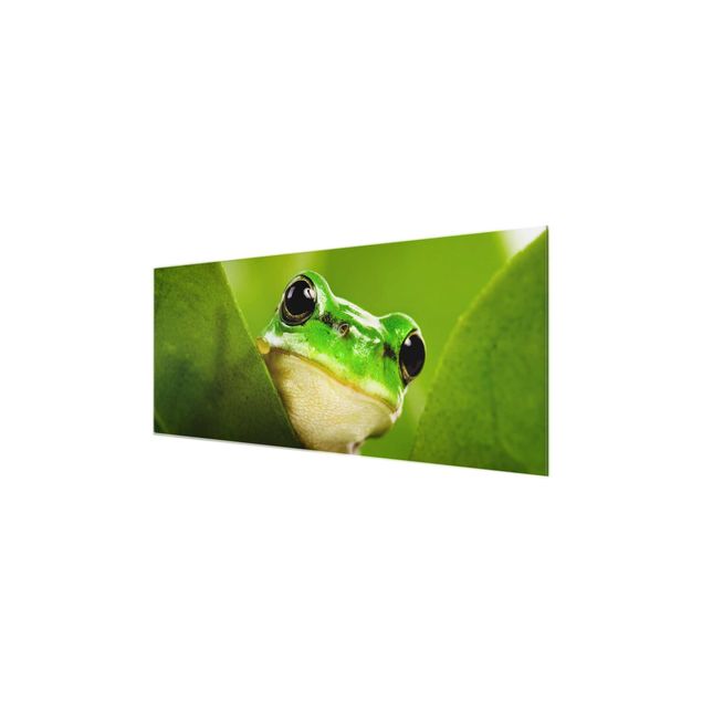 quadro de vidro Frog