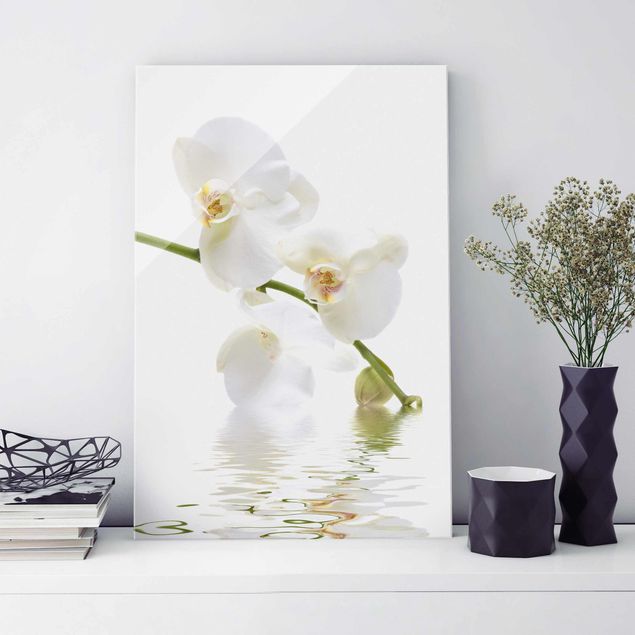 Quadros em vidro de orquídeas White Orchid Waters