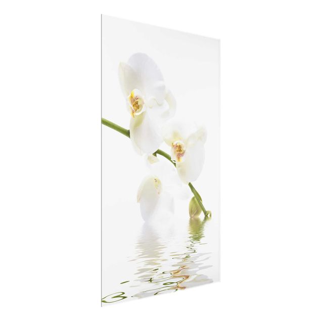 Quadros em vidro flores White Orchid Waters