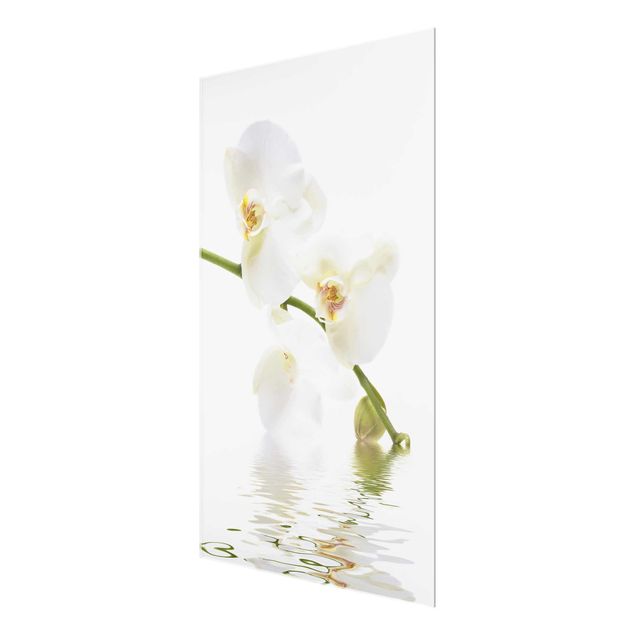 quadro com flores White Orchid Waters