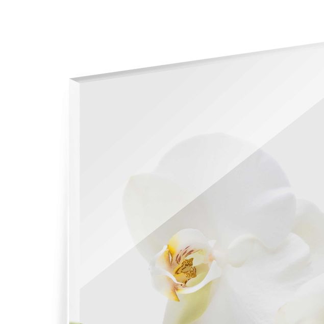 quadro de vidro White Orchid Waters