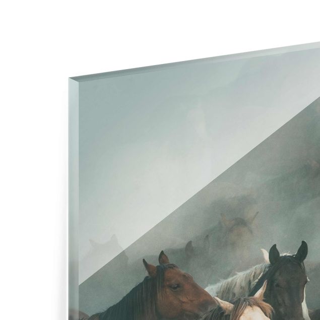 quadro de vidro Wild Horses