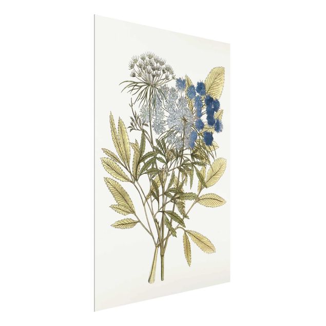 quadros de flores Wild Herbs Board I