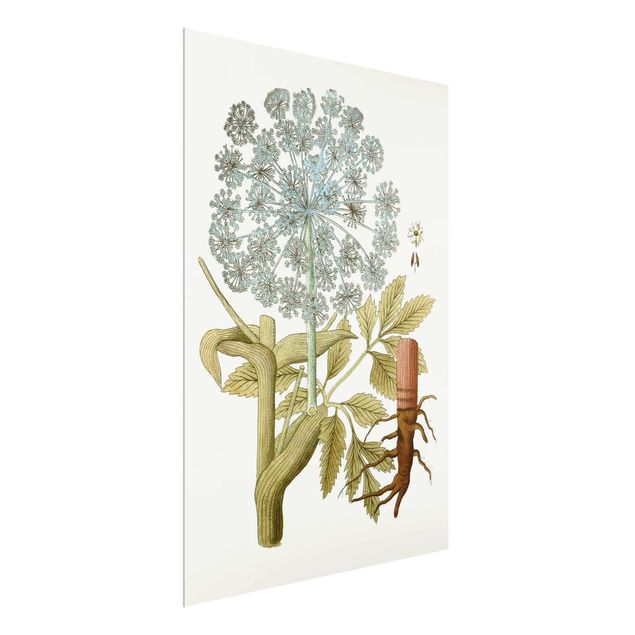 quadros flores Wild Herbs Board III