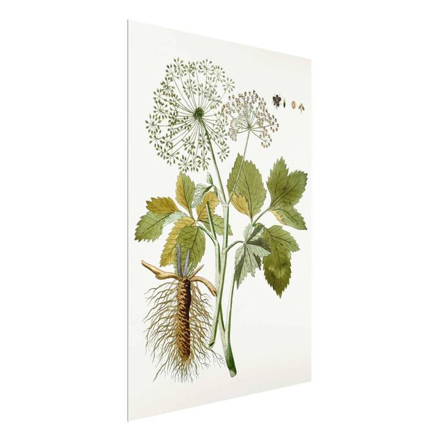 quadro com flores Wild Herbs Board IV