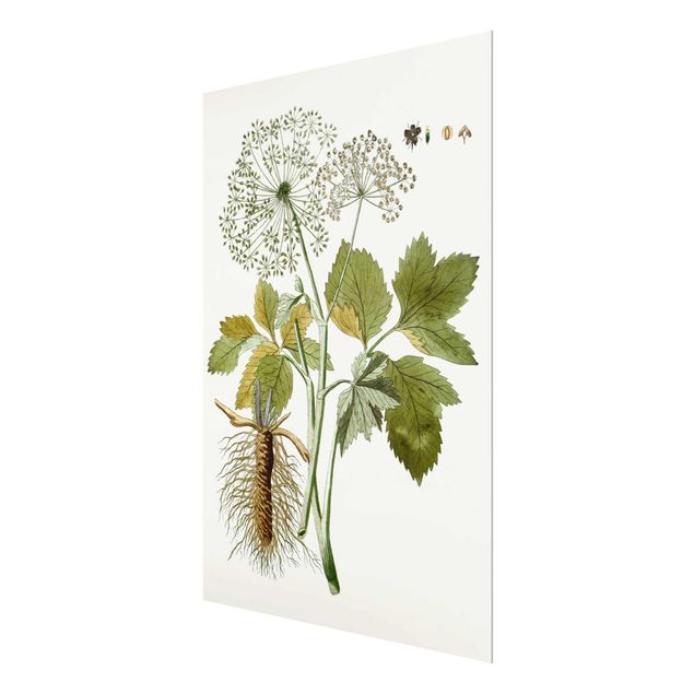 quadro de vidro Wild Herbs Board IV