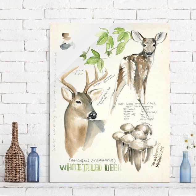 Quadros veados Wilderness Journal - Deer