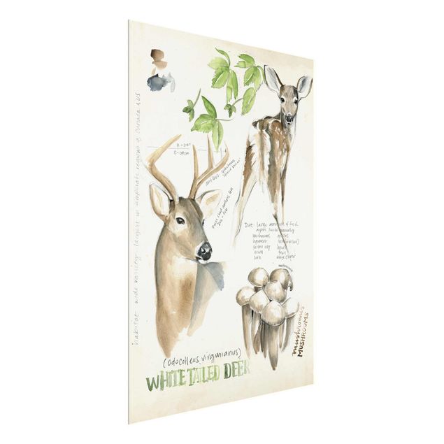Quadros florais Wilderness Journal - Deer