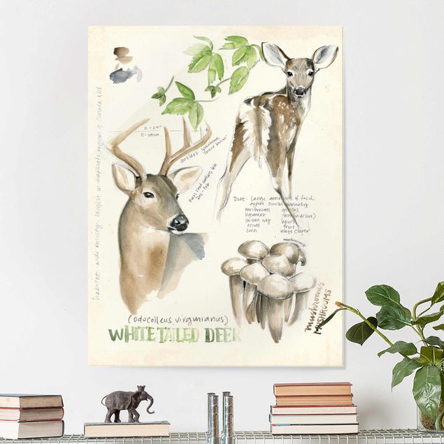 decoraçao para parede de cozinha Wilderness Journal - Deer