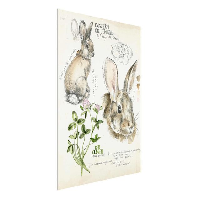 quadro com flores Wilderness Journal - Rabbit