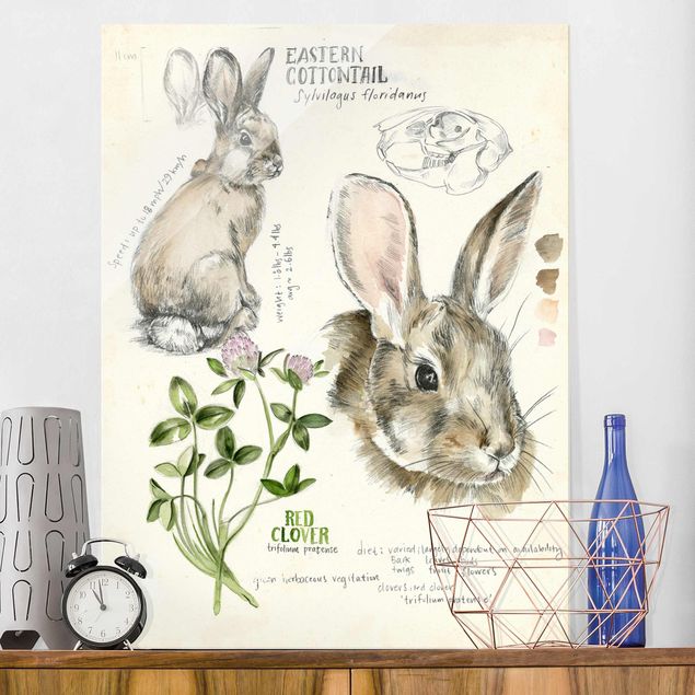 decoraçoes cozinha Wilderness Journal - Rabbit