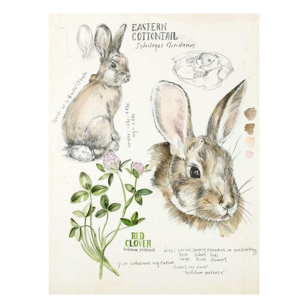 Quadros em marrom Wilderness Journal - Rabbit