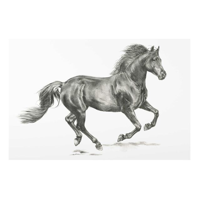 Quadros modernos Wild Horse Trial - Stallion