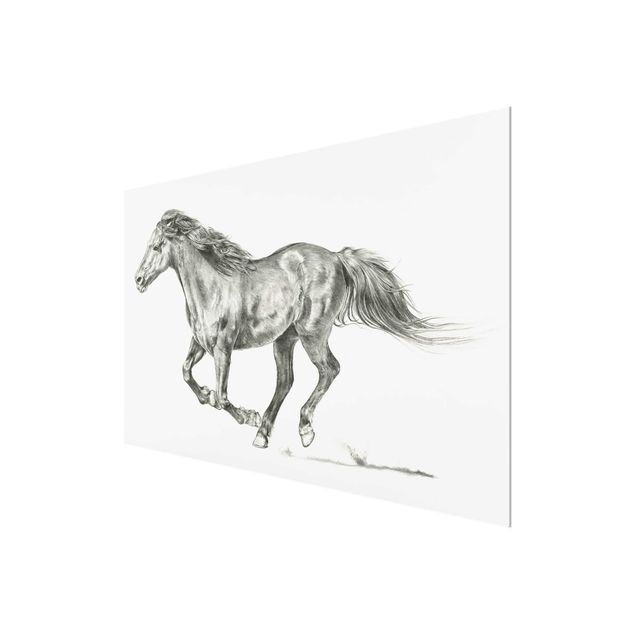 quadros em preto e branco Wild Horse Trial - Mare