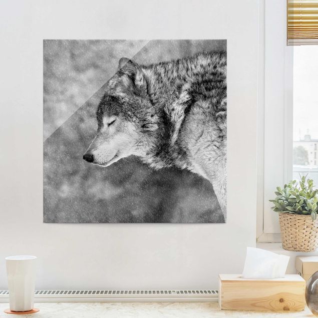 Quadros em vidro em preto e branco Winter Wolf
