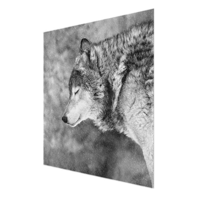 quadros para parede Winter Wolf