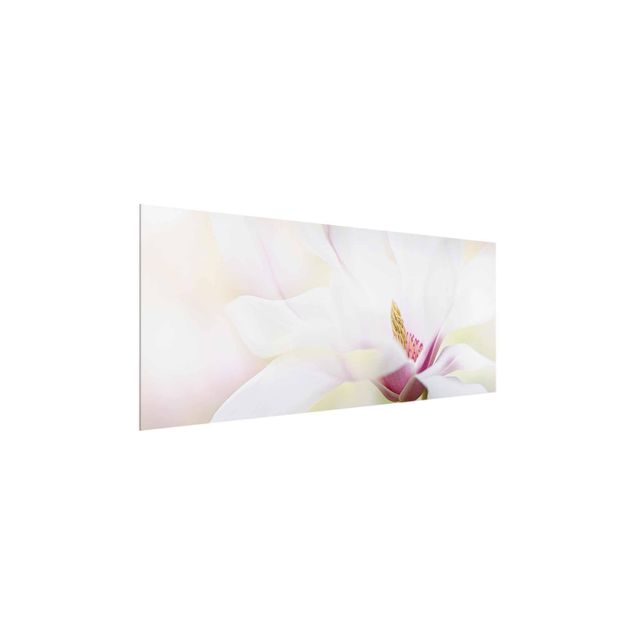 quadro com flores Delicate Magnolia Blossom