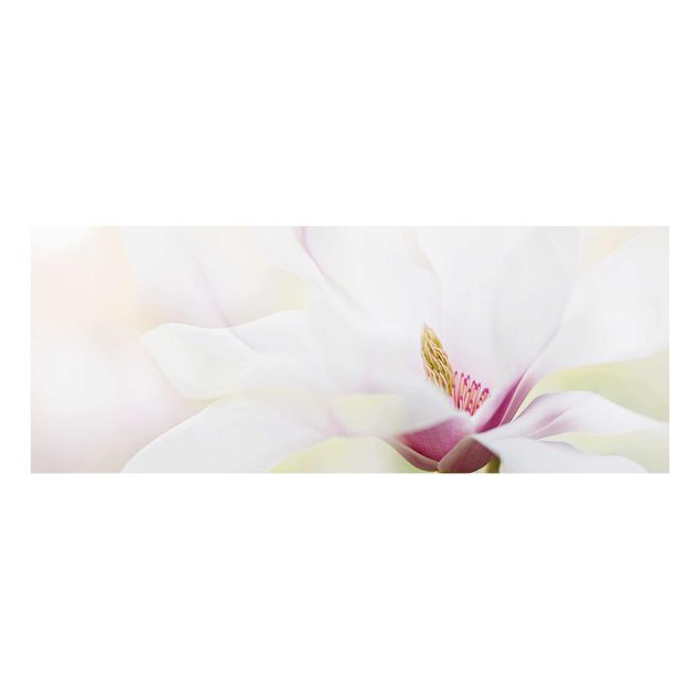 Quadros decorativos Delicate Magnolia Blossom
