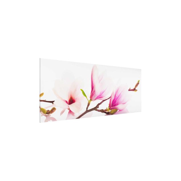quadros flores Delicate Magnolia Branch