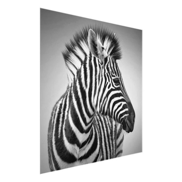 Quadros em vidro animais Zebra Baby Portrait II