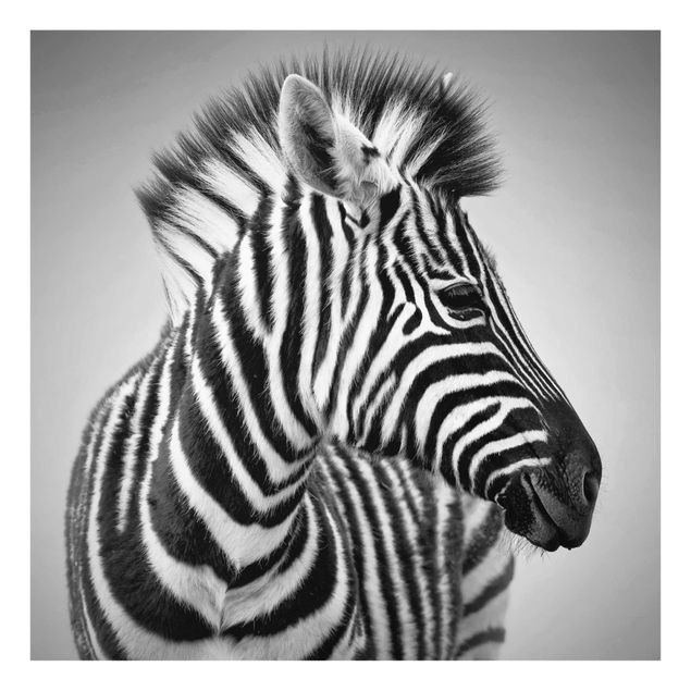 Quadros África Zebra Baby Portrait II