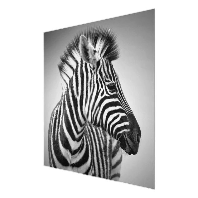 quadros preto e branco para decoração Zebra Baby Portrait II