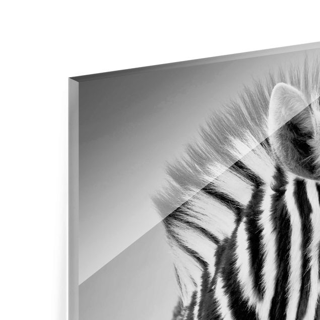 quadro de vidro Zebra Baby Portrait II