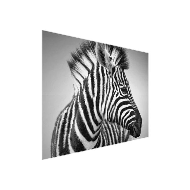 Quadros em vidro animais Zebra Baby Portrait II