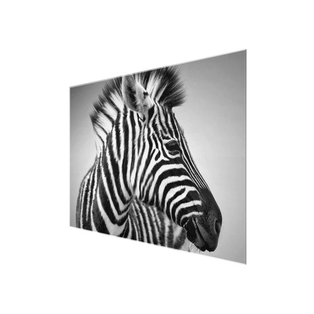 quadros preto e branco para decoração Zebra Baby Portrait II