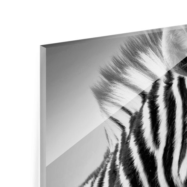 quadro de vidro Zebra Baby Portrait II
