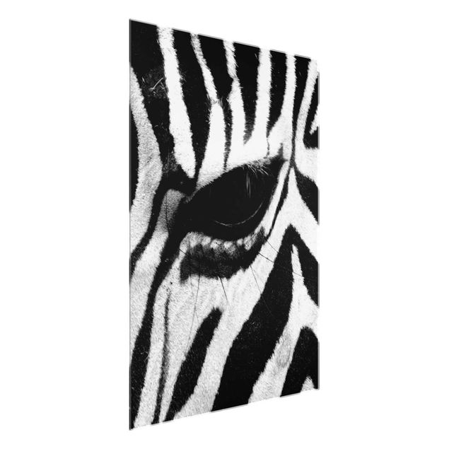 Quadros em vidro animais Zebra Crossing