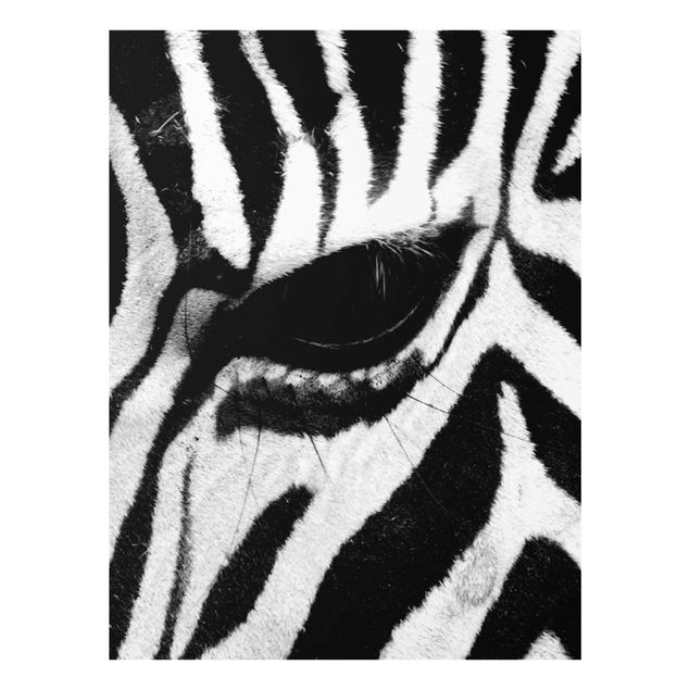 Quadros África Zebra Crossing